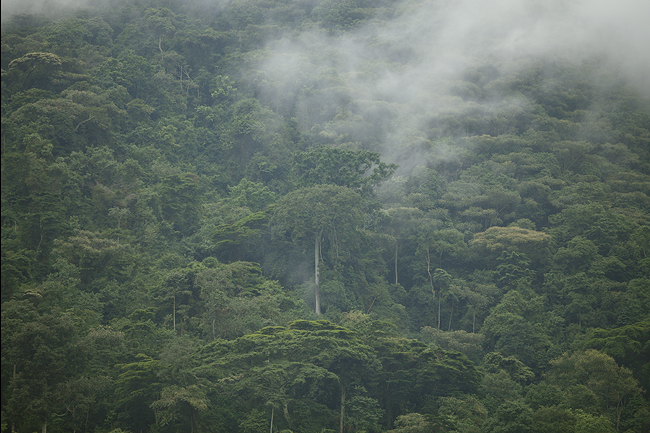 Uganda Ruanda 8